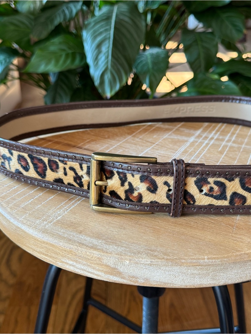 Express Leopard-Print Belt with Brown Trim and Brass Buckle